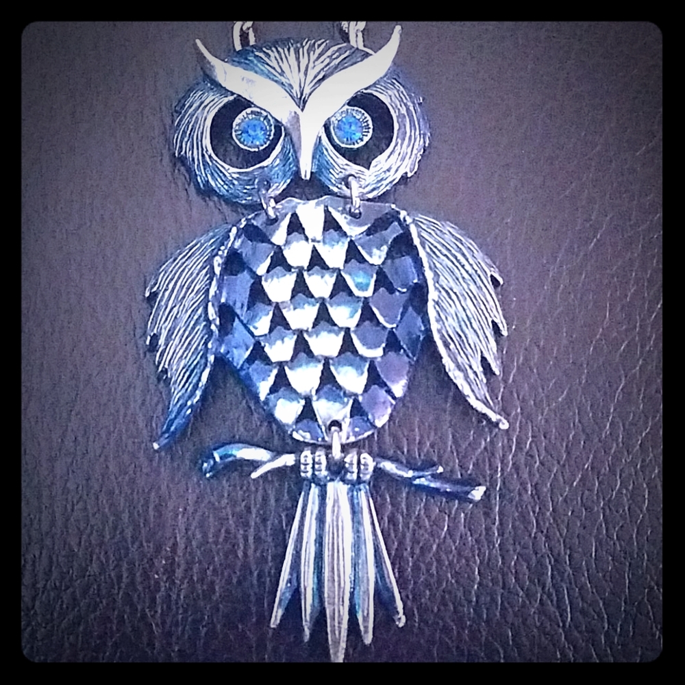 Pretty blue owl necklace